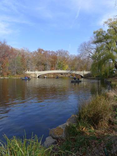 USA_2011-11-20 12-32-01